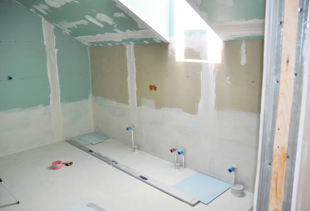 Mold Documentation for Insurance Claims in Roxborough Park, CO