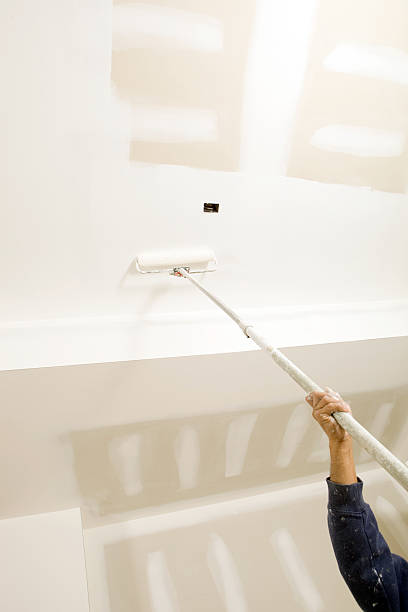 Best Mold Damage Restoration  in Roxborough Park, CO