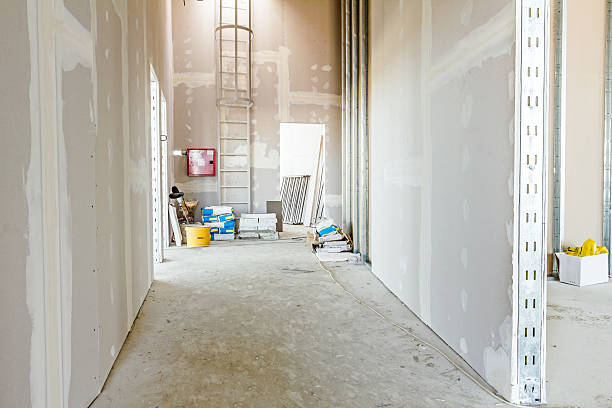 Mold Remediation for Rental Properties in Roxborough Park, CO